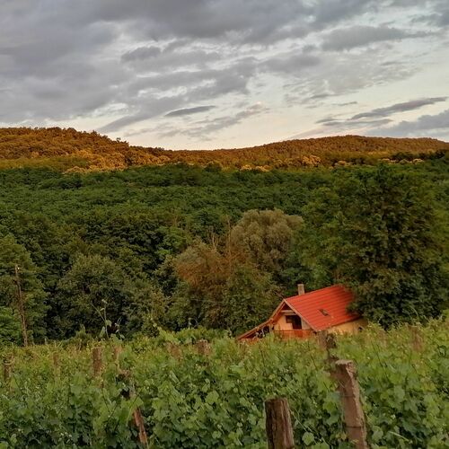Naturkert Vendégház Várvölgy  2