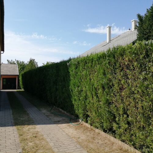 Ticiano Vendégház Siófok  3