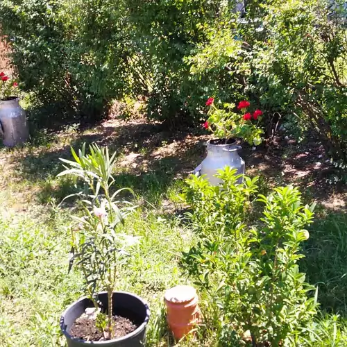 Jóbarát Apartman Veresegyház 009 kép