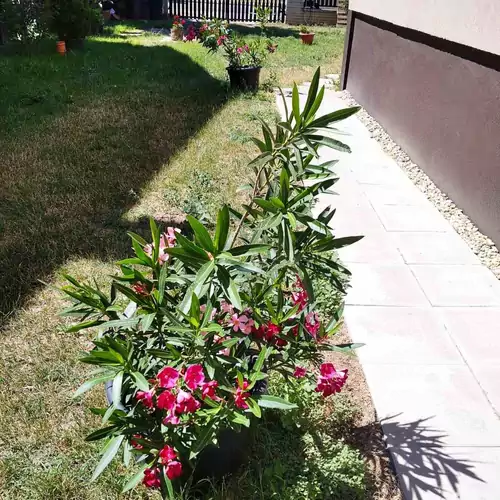 Jóbarát Apartman Veresegyház 011 kép