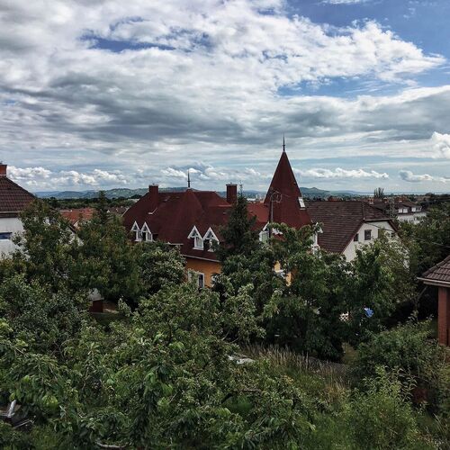 Vadrózsa Apartman Balatonfüred  4
