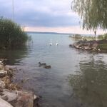 Centru Wellness, relaxare