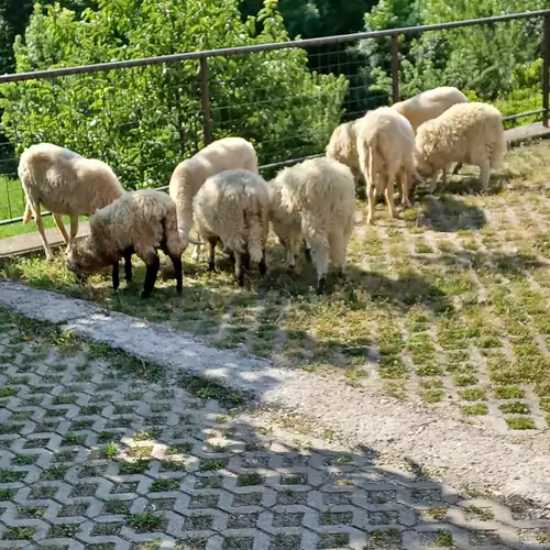 Bé-La 2 Vendégház Szomolya 024 kép