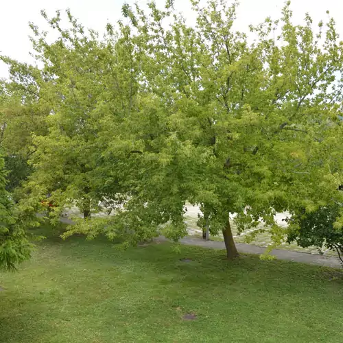 Germering Apartman Balatonfüred 024 kép