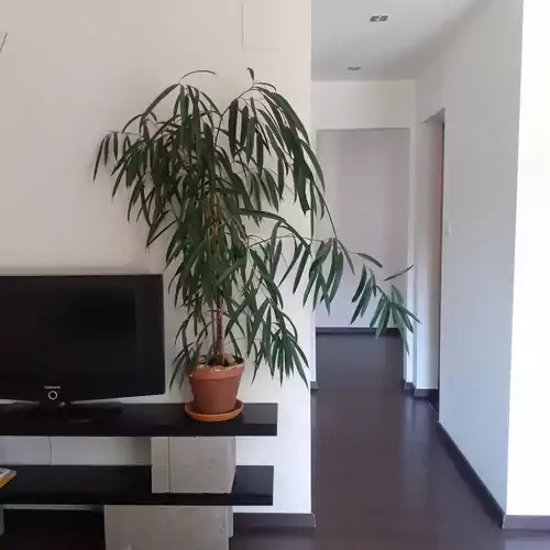 Nature Apartman Tata 002 kép