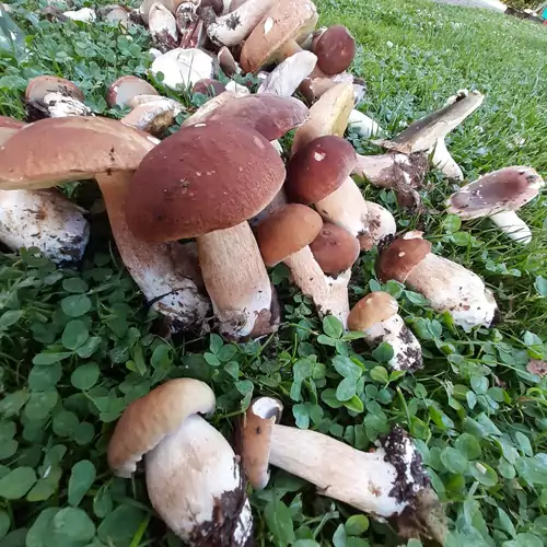 Őrségi Katicás Vendégház Viszák 027 kép