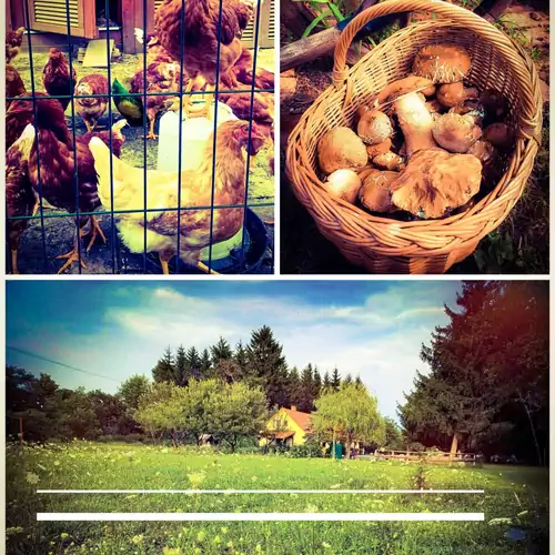 Őrségi Katicás Vendégház Viszák 025 kép