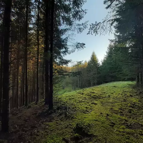 Őrségi Katicás Vendégház Viszák 031 kép
