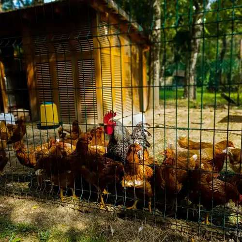 Őrségi Katicás Vendégház Viszák 004 kép