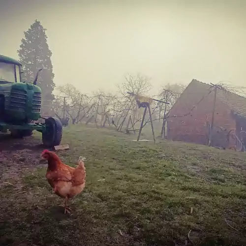 Őrségi Katicás Vendégház Viszák 043 kép
