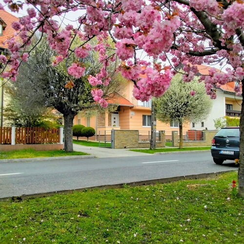 Piroska Deluxe Apartmanház Hévíz  4