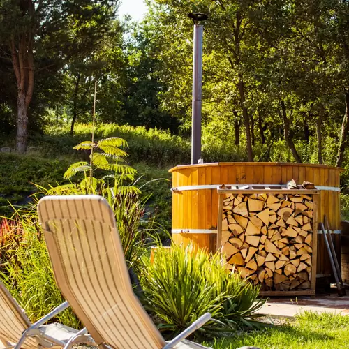 d&eacute;zsaf&uuml;rdő