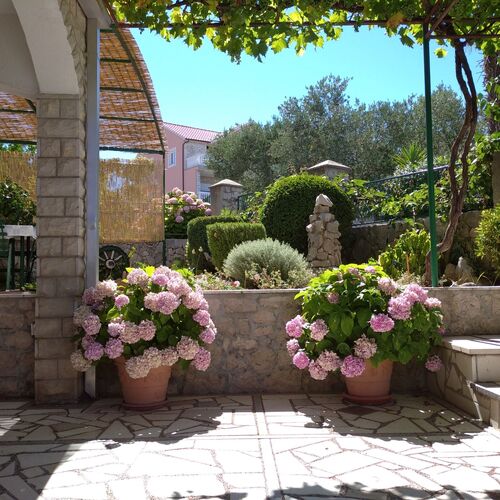 Apartmani Crljen Brodarica  3