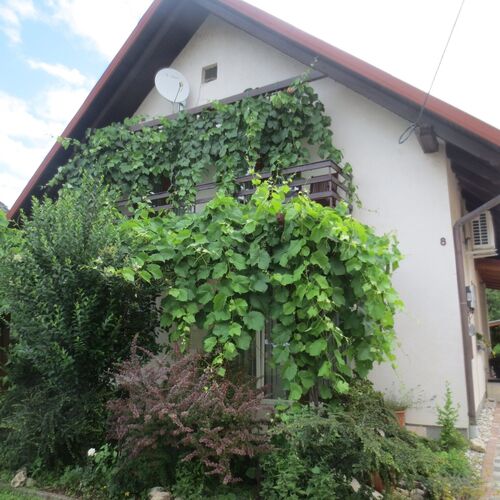 Liliom Apartman Balatonboglár  4