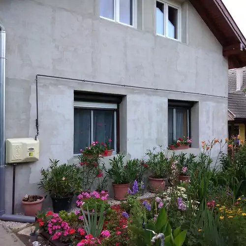 Mari Vendégház Balatonendréd 013 kép