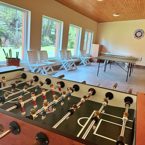 Penzion Li&scaron;kův ml&yacute;n herna