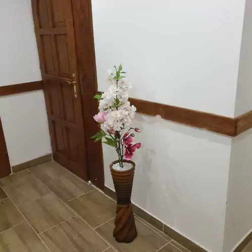 Gesztenye Apartman Úrkút 008 kép