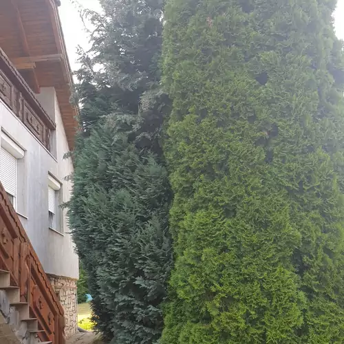 Gesztenye Apartman Úrkút 003 kép