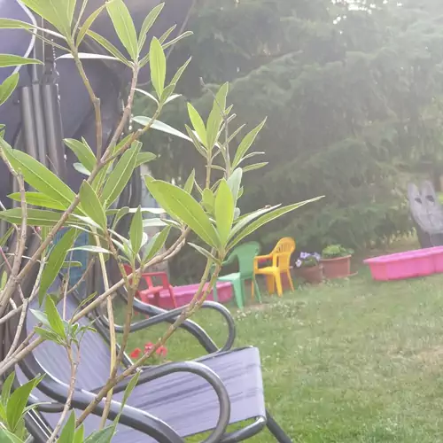 Gesztenye Apartman Úrkút 011 kép