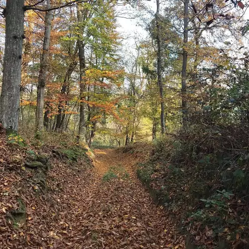 Göcsej Kapuja-Molnár Vendégház Babosdöbréte 015 kép