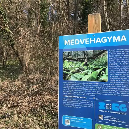 Göcsej Kapuja-Molnár Vendégház Babosdöbréte 039 kép