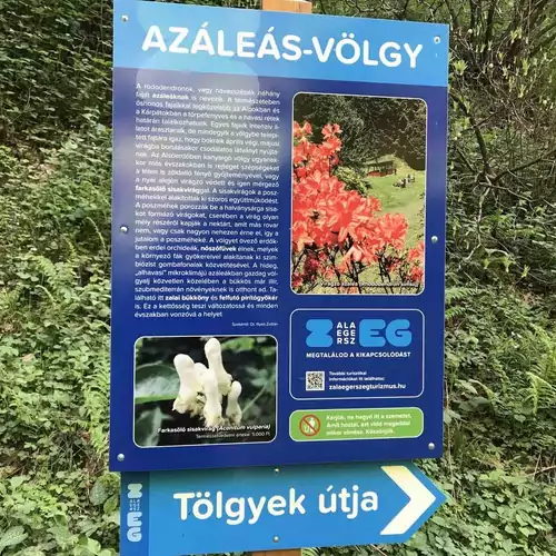 Göcsej Kapuja-Molnár Vendégház Babosdöbréte 043 kép