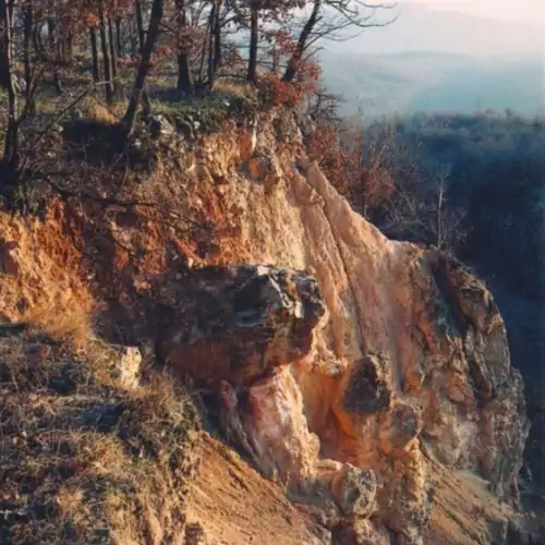 MohApartman Gyöngyössolymo 010 kép