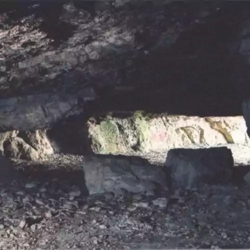 MohApartman Gyöngyössolymo 012 kép