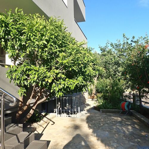 Apartment Marko Starigrad  3