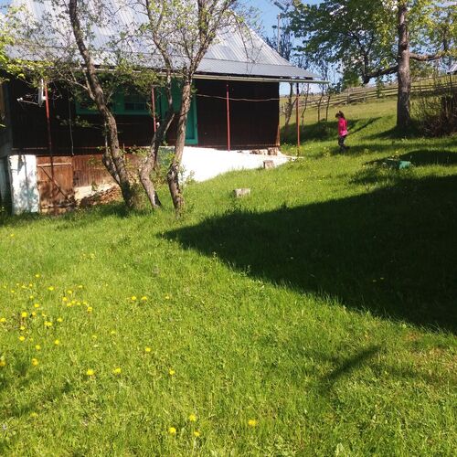 Pensiunea Mery Albac