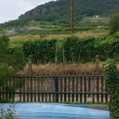 Izabella Apartman Badacsony  3