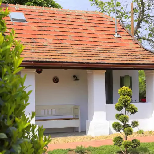 Fekete Gólya XL Tiszafüred 003 kép