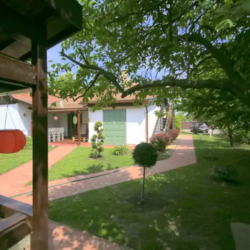 Fekete Gólya XL Tiszafüred 004 kép