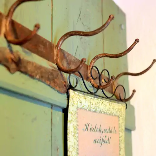 Fekete Gólya XL Tiszafüred 005 kép