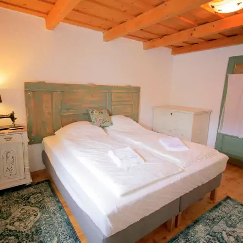 Fekete Gólya XL Tiszafüred 008 kép