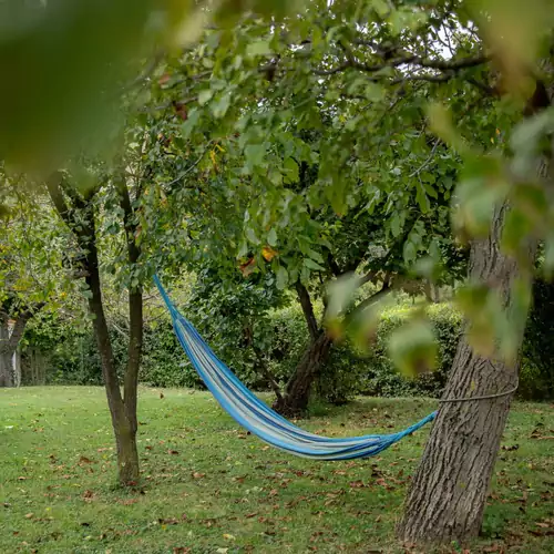 Rózsa Porta Vendégház Zengővárkony 024 kép