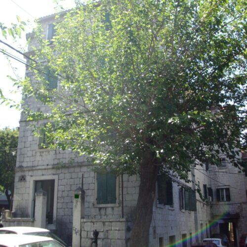 Apartman Happy Jackdaw Split  4