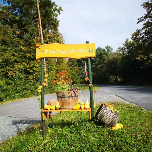Életmagtár Apartman Kétvölgy 031 kép