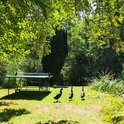 Életmagtár Apartman Kétvölgy 011 kép