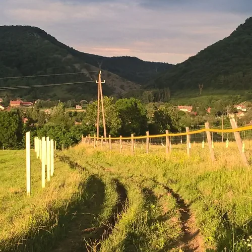A szoros m&aacute;s n&eacute;zetből
