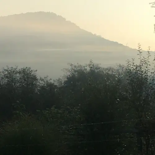 Szeptemberi reggeli l&aacute;tk&eacute;p az udvarr&oacute;l, mik&ouml;zben k&oacute;rusban bőgnek a szarvasok:)