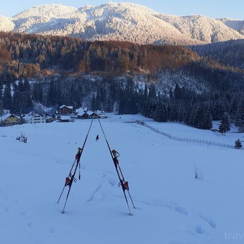 Pensiunea Poiana Cristian Poiana Brașov