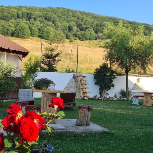 Pensiunea Poiana Cristian Poiana Brașov