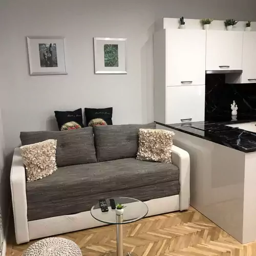 Kaktusz Apartman Szeged 005 kép