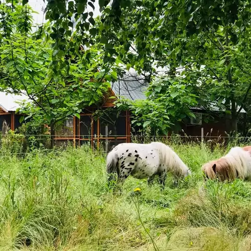 Alpaka Farm Csacsi Vendégház Pa 016 kép