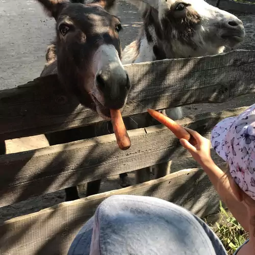 Alpaka Farm Csacsi Vendégház Pa 023 kép