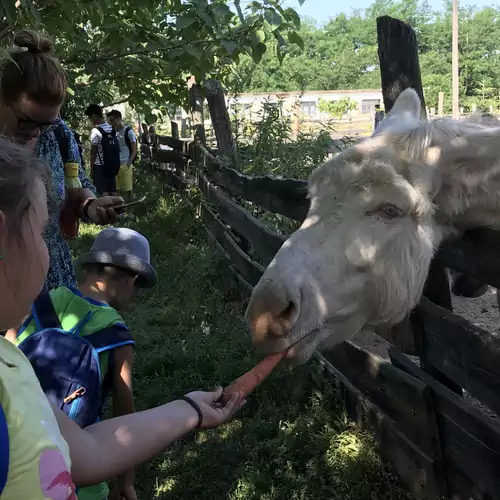 Alpaka Farm Csacsi Vendégház Pa 024 kép