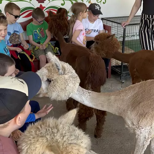 Alpaka Farm Csacsi Vendégház Pa 034 kép