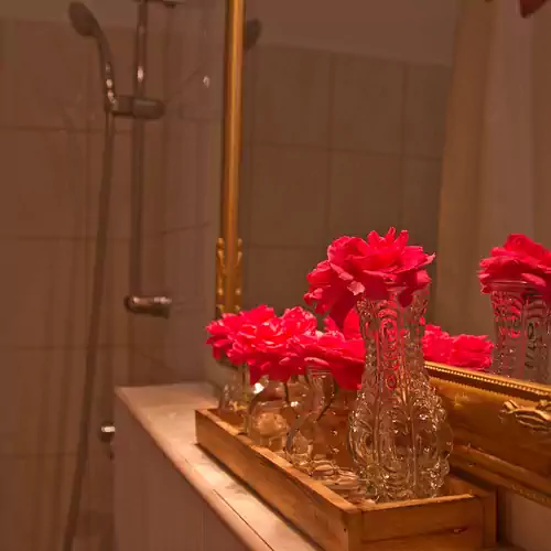 Villa Kamilla Gyula 006 kép