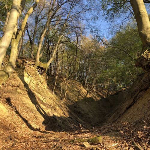 A panzió mögött egy varázslatos erdő húzódik, amelyet egy csobogó patak szel át. 